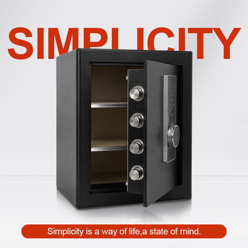 Caja fuerte biométrica con lec - Home Security Box reseña y precio
